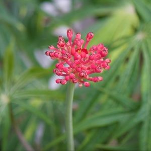 Meet your Posher, Meredith